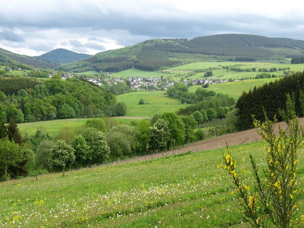 Ferienwohnung Moos-Hochsauerland Wiemeringhausen Pokój zdjęcie