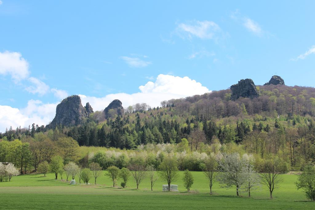 Ferienwohnung Moos-Hochsauerland Wiemeringhausen Pokój zdjęcie