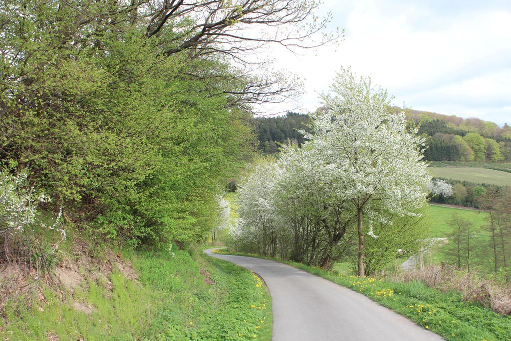 Ferienwohnung Moos-Hochsauerland Wiemeringhausen Pokój zdjęcie