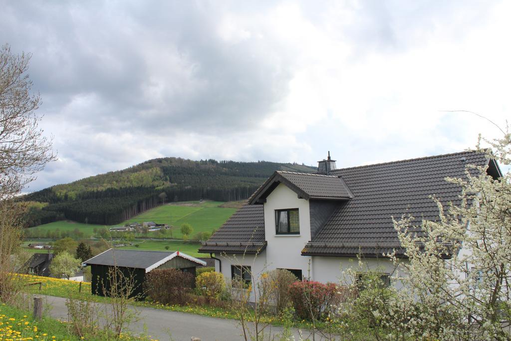 Ferienwohnung Moos-Hochsauerland Wiemeringhausen Pokój zdjęcie